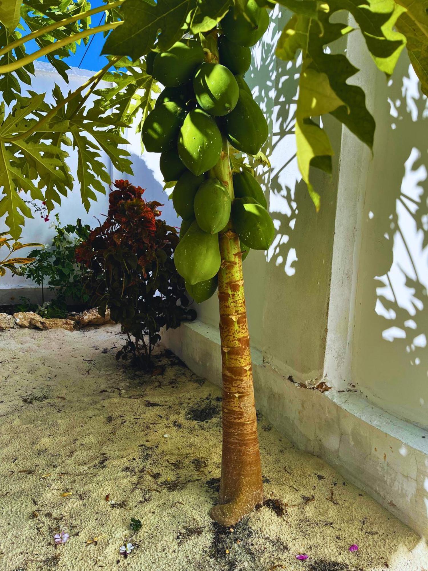 Sabali Lodge, Zanzibar Джамбіані Екстер'єр фото